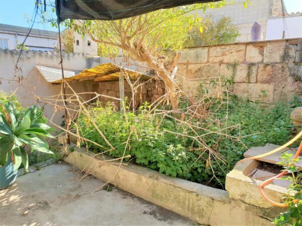 Haus / Ferienhaus / Ferienwohnung /  Wohnung / Mallorca / Santa Margalida – Bild 9