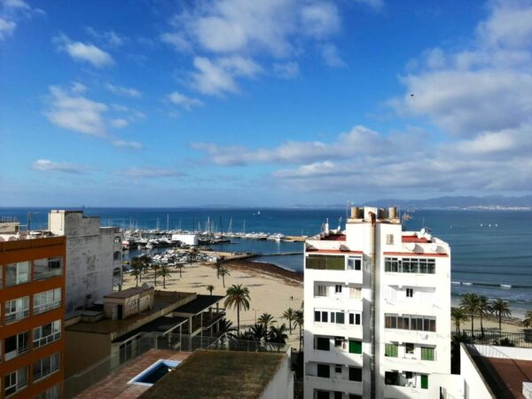 Ferienwohnung /  Wohnung / Meerblick / El Arenal auf Mallorca
