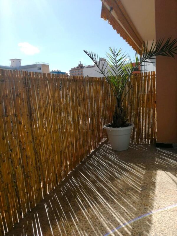 Ferienwohnung /  Wohnung / Meerblick / El Arenal auf Mallorca – Bild 17