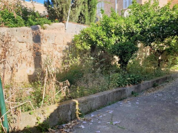 Haus / Ferienhaus / Ferienwohnung /  Wohnung / Mallorca / Santa Margalida – Bild 8
