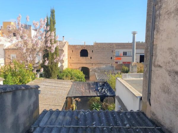 Haus / Ferienhaus / Ferienwohnung /  Wohnung / Mallorca / Santa Margalida – Bild 11