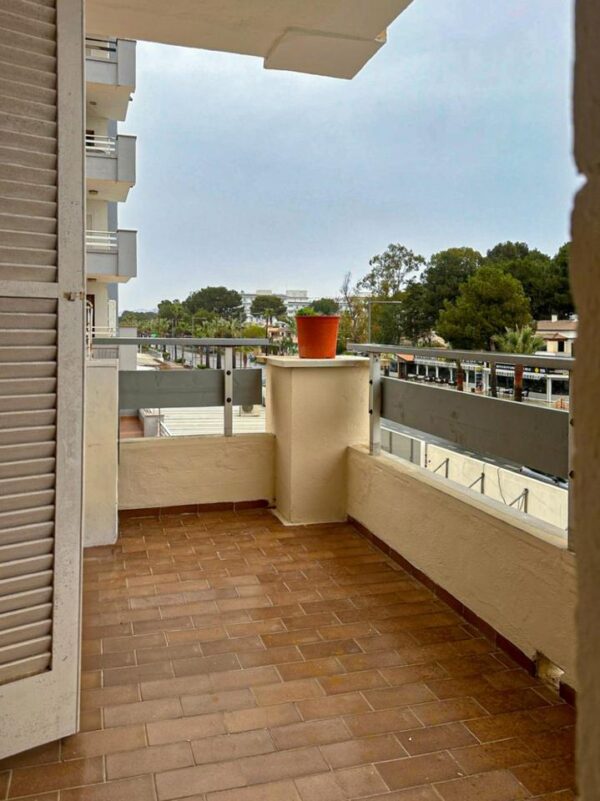 Wohnung / Ferienwohnung / Apartment /  Mallorca / ALCUDIA – Bild 18