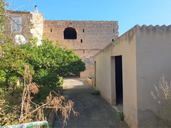 Haus / Ferienhaus / Ferienwohnung /  Wohnung / Mallorca / Santa Margalida – Bild 7