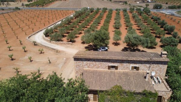 Ferienhaus / Villa / Finca / Haus / Mallorca / Santa Eugenia / Feriengenehmigung – Bild 29