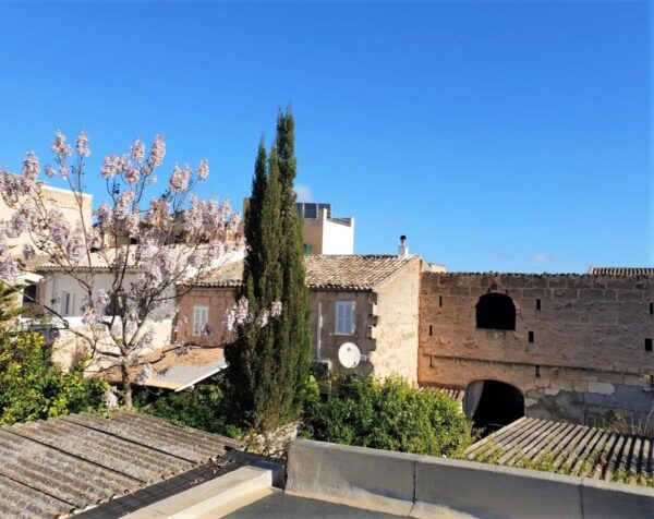 Haus / Ferienhaus / Ferienwohnung /  Wohnung / Mallorca / Santa Margalida – Bild 15