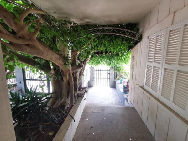 Haus / Ferienhaus / Mallorca/ Son Baulo  mit Meerblick – Bild 18
