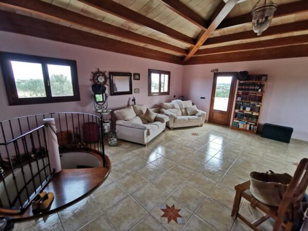 Haus / Ferienhaus / Villa / Mallorca / Finca / Can Picafort in Meeresnähe – Bild 38