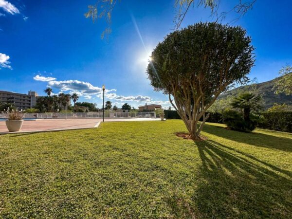 Wohnung / Ferienwohnung / Apartment /  Mallorca / ALCUDIA – Bild 2