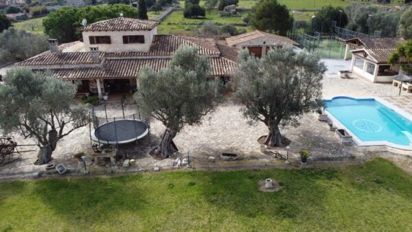 Haus / Ferienhaus / Villa / Mallorca / Finca / Can Picafort in Meeresnähe – Bild 8