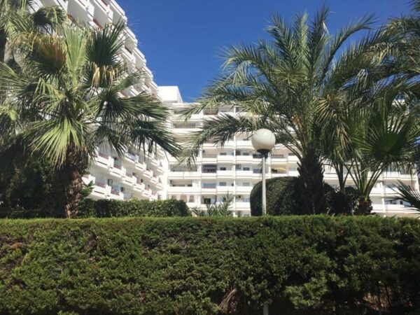 Wohnung / Ferienwohnung / Apartment /  Mallorca / ALCUDIA – Bild 9