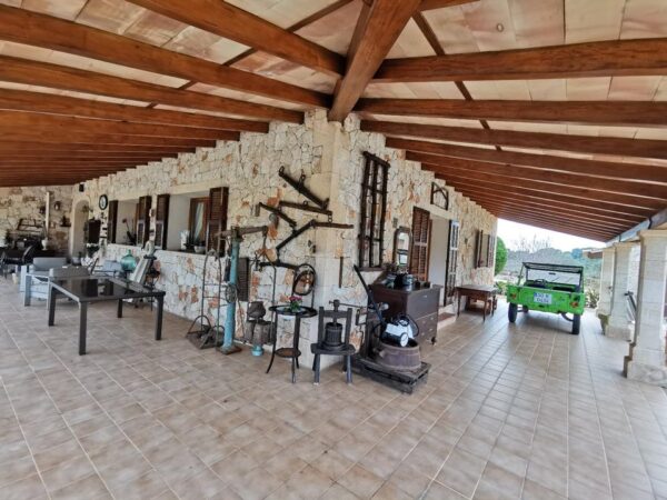 Haus / Ferienhaus / Villa / Mallorca / Finca / Can Picafort in Meeresnähe – Bild 20