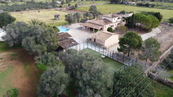 Haus / Ferienhaus / Villa / Mallorca / Finca / Can Picafort in Meeresnähe – Bild 12