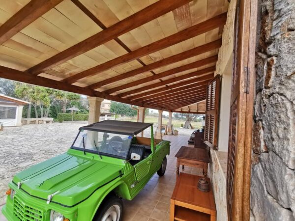 Haus / Ferienhaus / Villa / Mallorca / Finca / Can Picafort in Meeresnähe – Bild 19