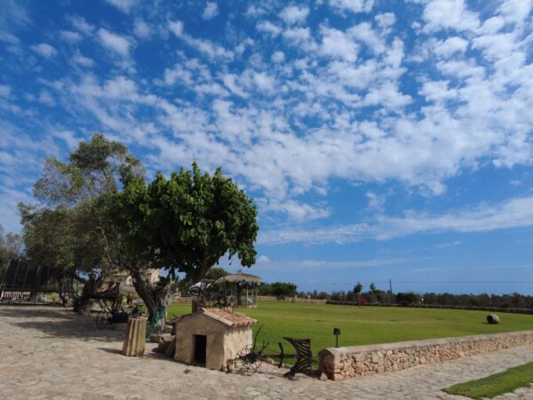 Haus / Ferienhaus / Villa / Mallorca / Finca / Can Picafort in Meeresnähe – Bild 4