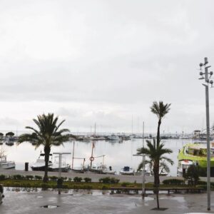 Wohnung / Ferienwohnung /  Mallorca / ALCUDIA /  Meerblick in erster Reihe