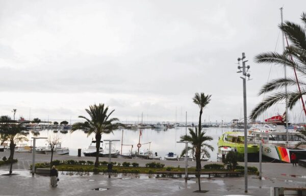 Wohnung / Ferienwohnung /  Mallorca / ALCUDIA /  Meerblick in erster Reihe