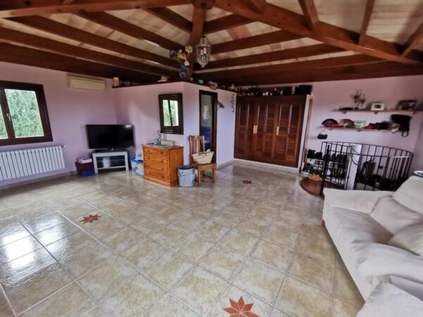Haus / Ferienhaus / Villa / Mallorca / Finca / Can Picafort in Meeresnähe – Bild 39