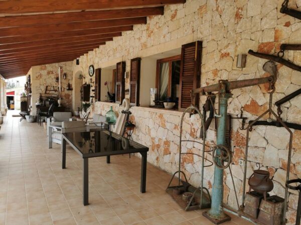 Haus / Ferienhaus / Villa / Mallorca / Finca / Can Picafort in Meeresnähe – Bild 18