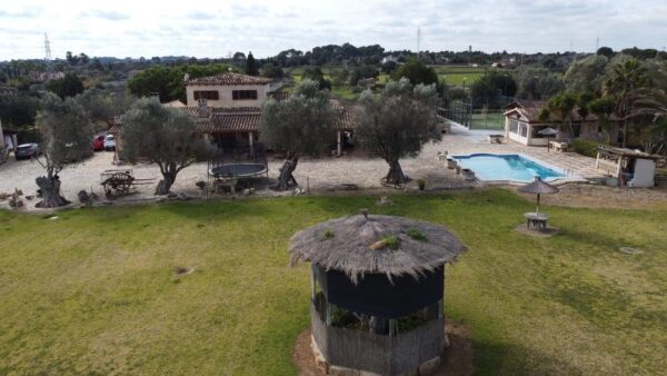 Haus / Ferienhaus / Villa / Mallorca / Finca / Can Picafort in Meeresnähe – Bild 9