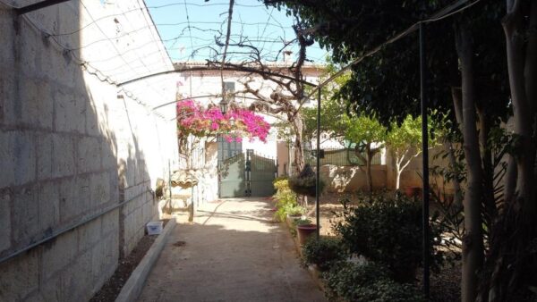 Haus / Chalet / Dorfhaus / Mallorca / Santa Margalida – Bild 5