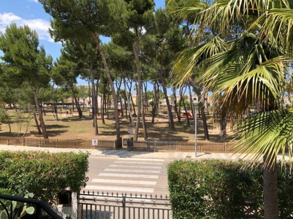 Villa / Einfamilienhaus / Haus  Mallorca  in Santa Margalida (Son Baulo)  Playa de Muro – Bild 6