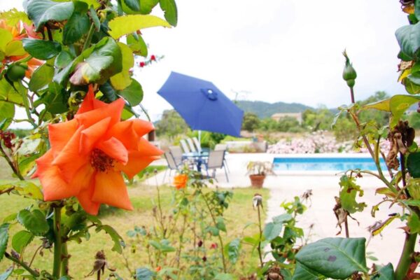 Villa / Haus / Traumhafte Finca auf Mallorca mit Ferienlizenz am Golfplatz – Bild 11