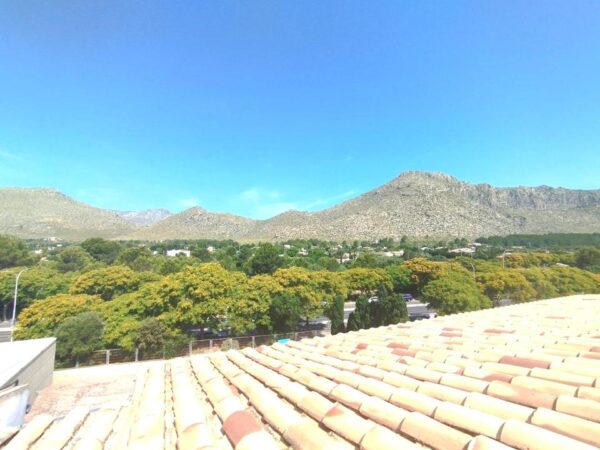 Wohnung / Ferienwohnung / Apartment /  Mallorca /  Puerto de Pollença – Bild 20
