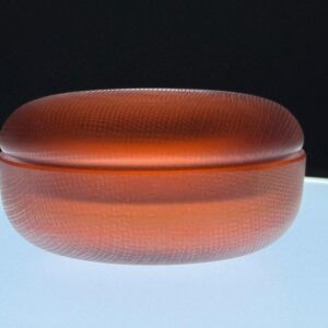 Rosenthal Dose Glas Studio-linie signiert Deckeldose 1970er